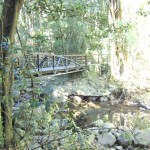 Bridge on Natural Bridge Circuit