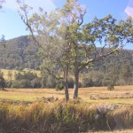 Landscape on tourist drive