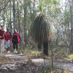 Mpho and friends bushwalking in Toohey Forest