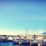 Boats docked at Surfers Paradise