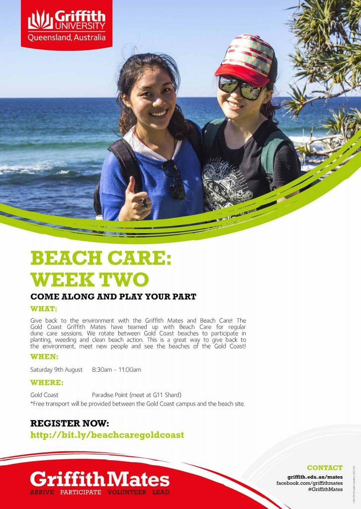 Beach Care Flyer