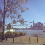 Brisbane river and parkland