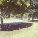 Brisbane parkland