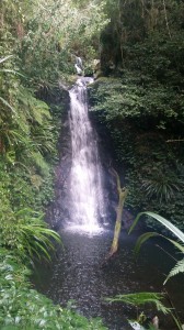 Waterfall in Lamington National Park