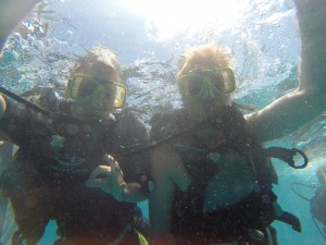 Diving in Cairns