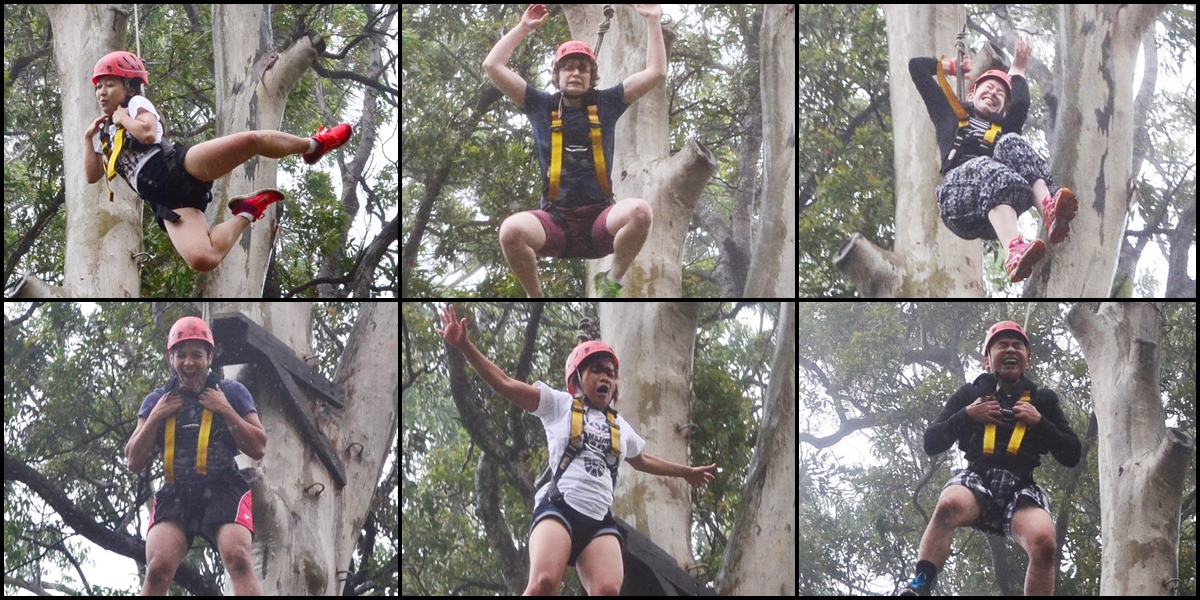 Photo collage of students completing Leap of Faith activity where they jump from a small platform up a tree and reach for a hanging marker while wearing full safety harness.