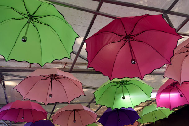 Umbrella in the Eumundi Market