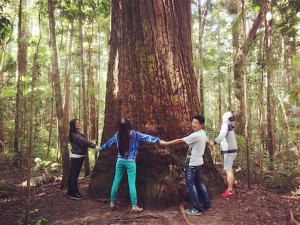 Students form a circle holding hands around a tree. 