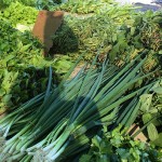 Bunches of herbs just $1