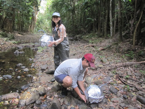 Xiang Tan and Mr. Dominic Valdez measuring the benthic metabolism in creeks in South East Queensland