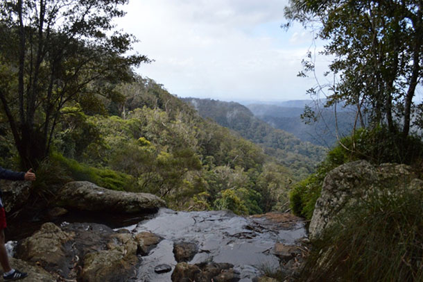 View from Twin Falls, Springbrook
