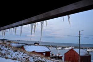 IMG_9888