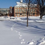 Building at Clarkson University surrounded by crisp snow.