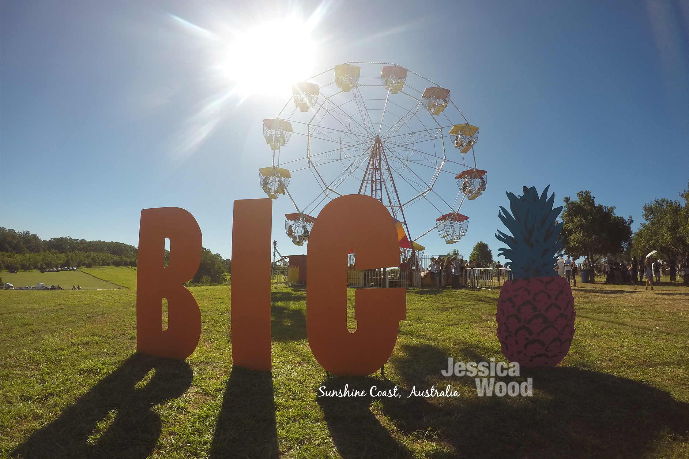 Big Pineapple Music Festival