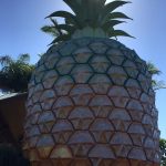 The Big Pineapple in The Sunshine Coast
