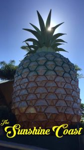 The Big Pineapple in The Sunshine Coast