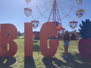 The Big Pineapple Music Festival sign