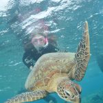 Snorkelling with a new friend