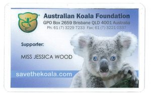 My Koala adoption supporter card