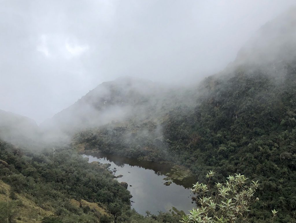 Cloud Forest on the Inca Trail